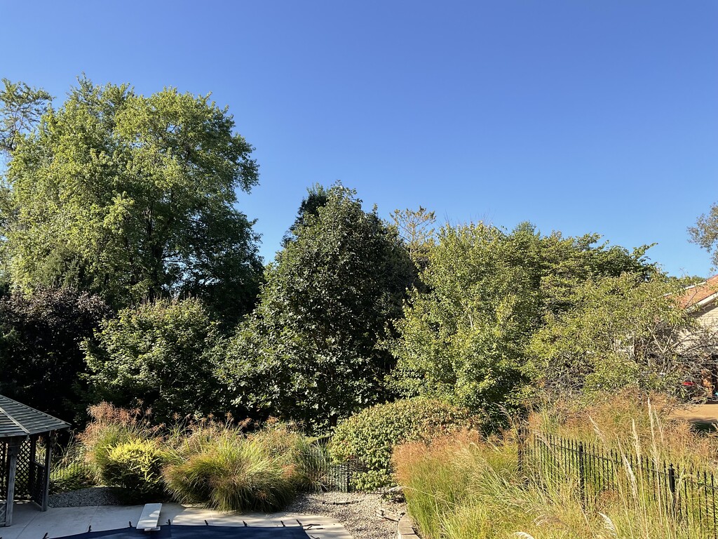 Nearly home. by illinilass