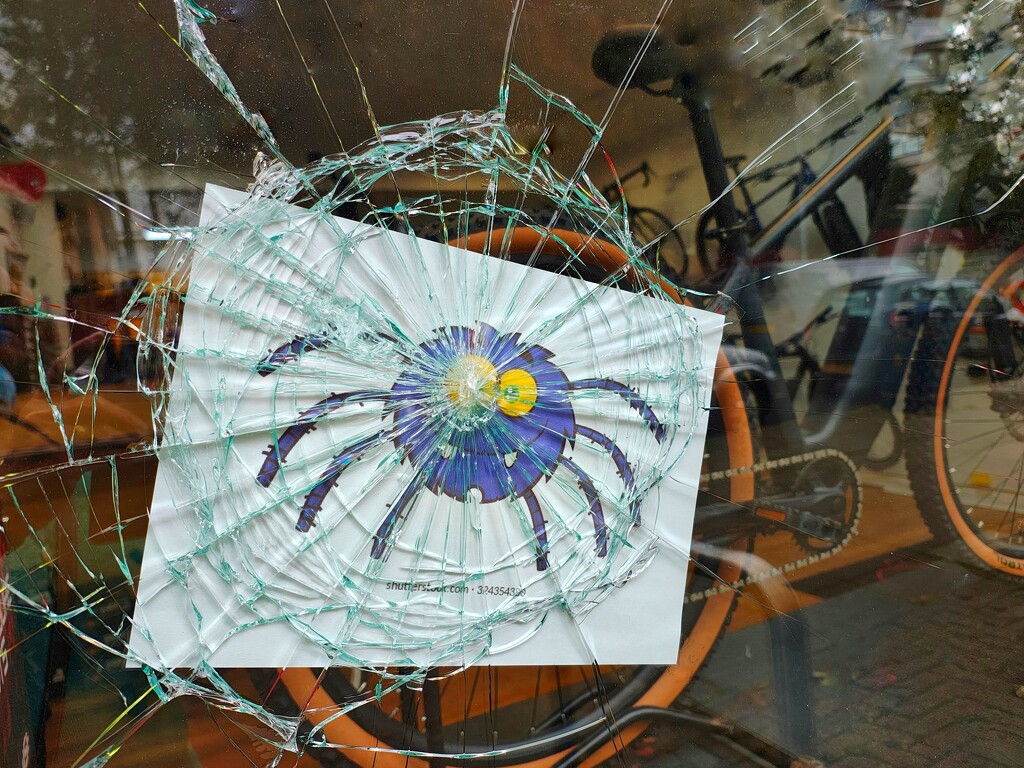 Spider  by 30pics4jackiesdiamond