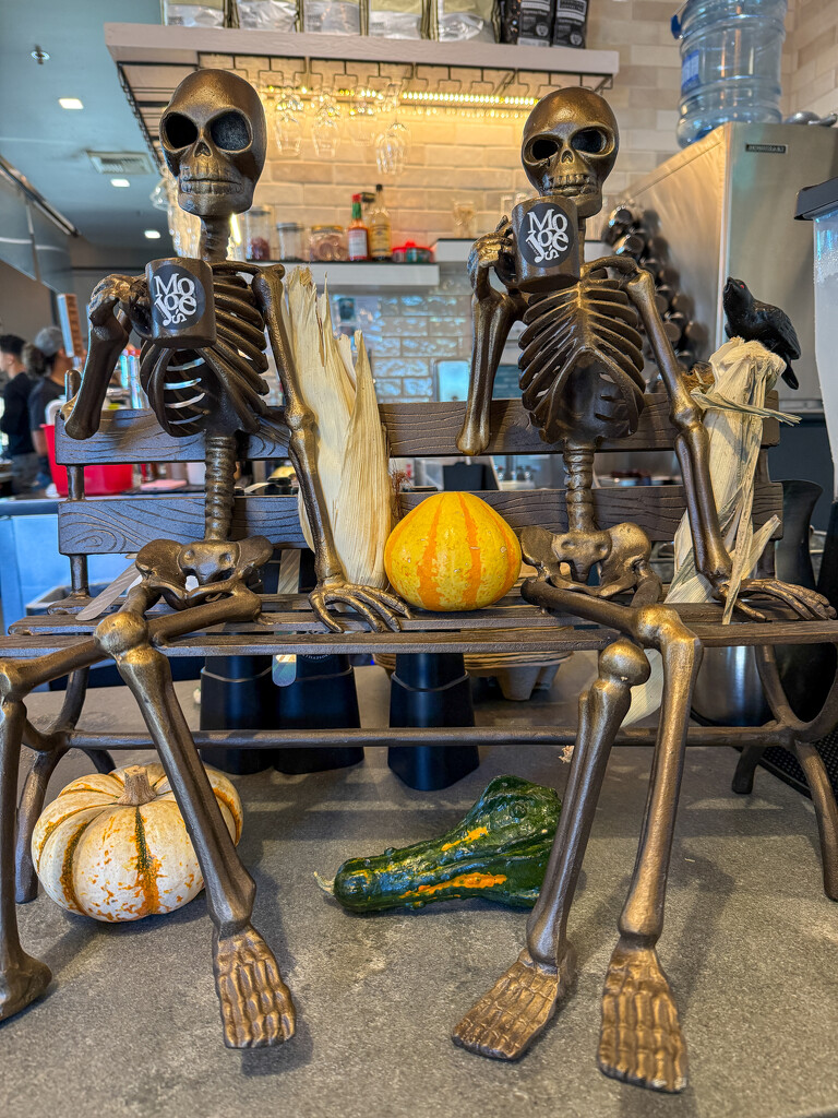 MoJoe’s Ready for Halloween by shutterbug49