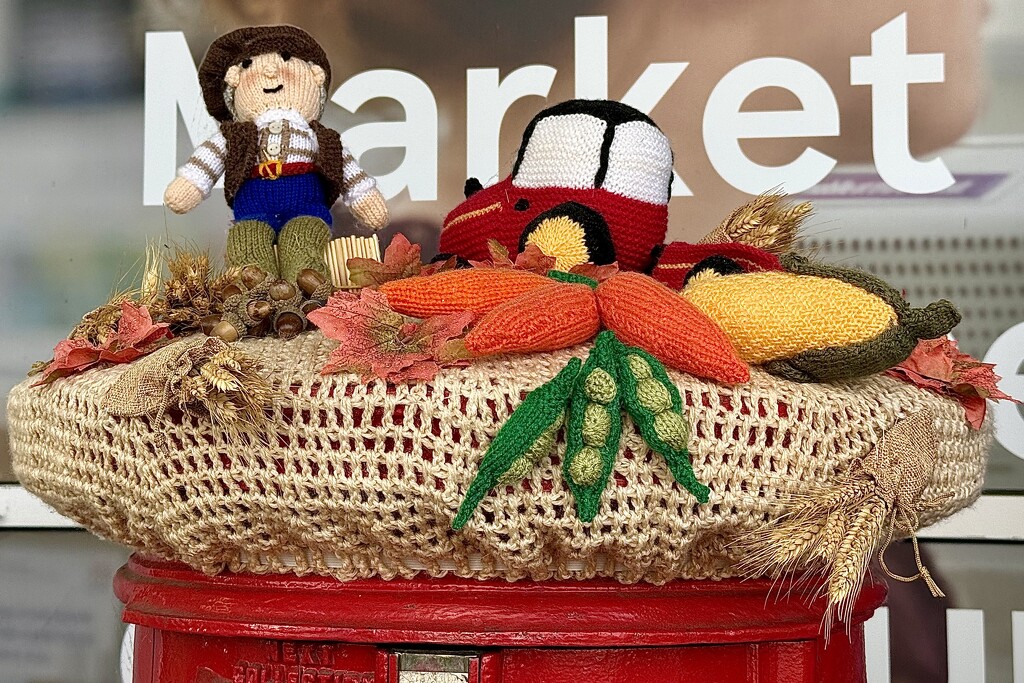 Yarn Bombing by carole_sandford