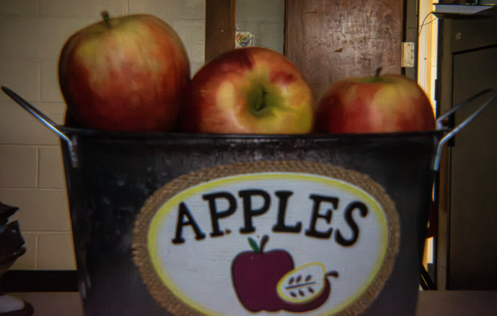 Apples--Holga Day 46 by darchibald