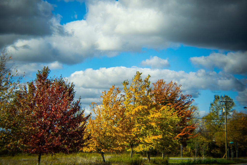 Autumnal copy by darchibald