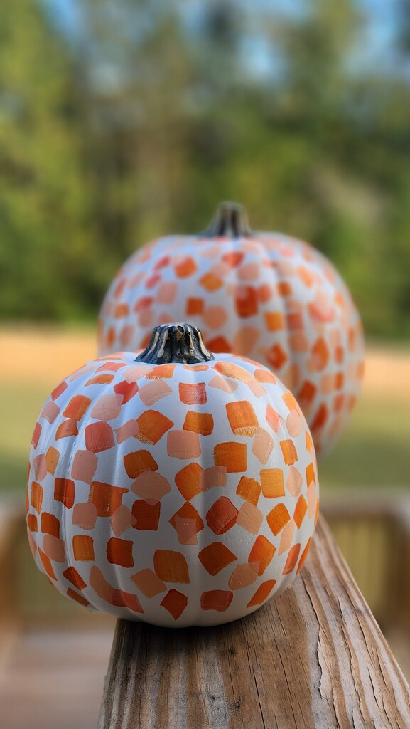 Pumpkin Fun! by sunnygirl