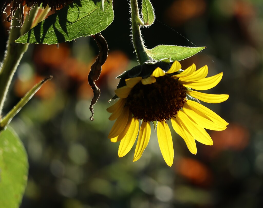 Holding On by 365projectorgheatherb