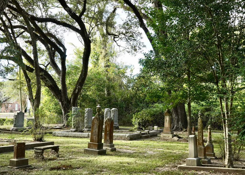 Hebrew Rest Cemetery by eudora