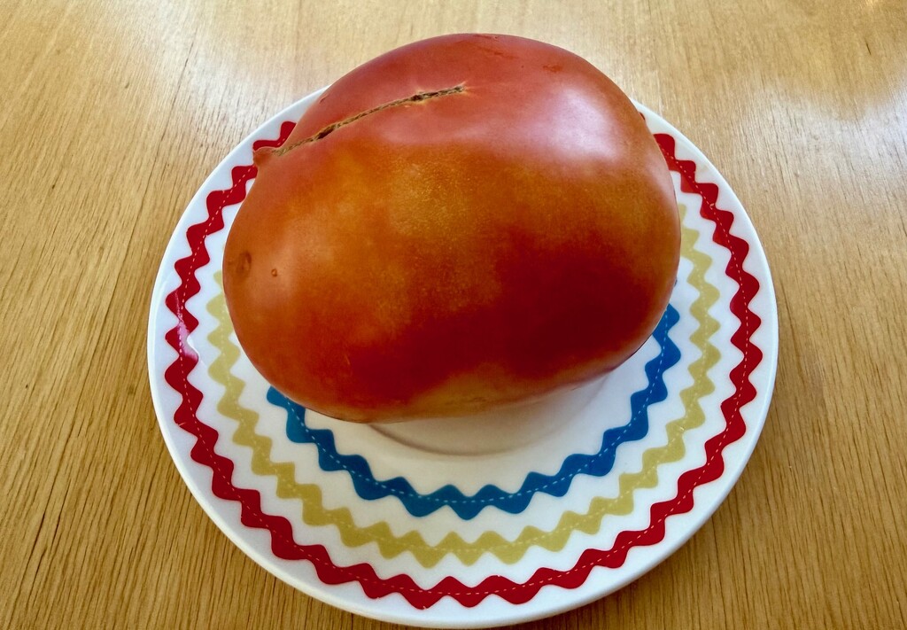 Bernard Shares His Bounty by allie912