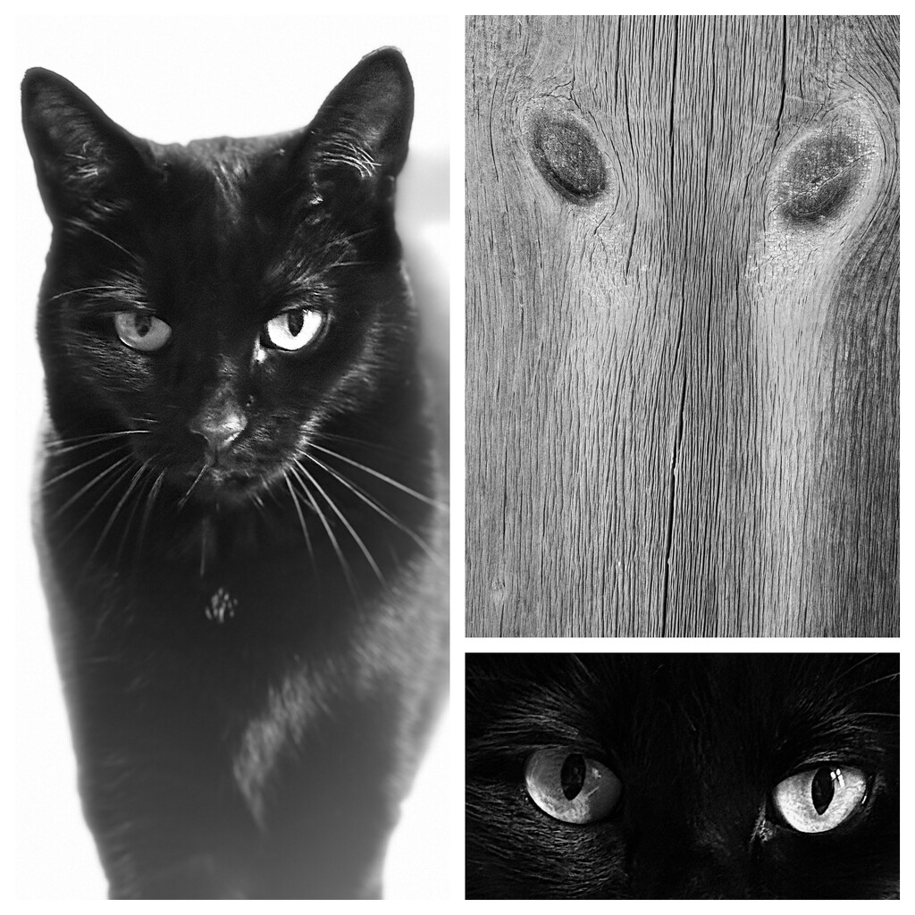 Spooky Eyes by berelaxed