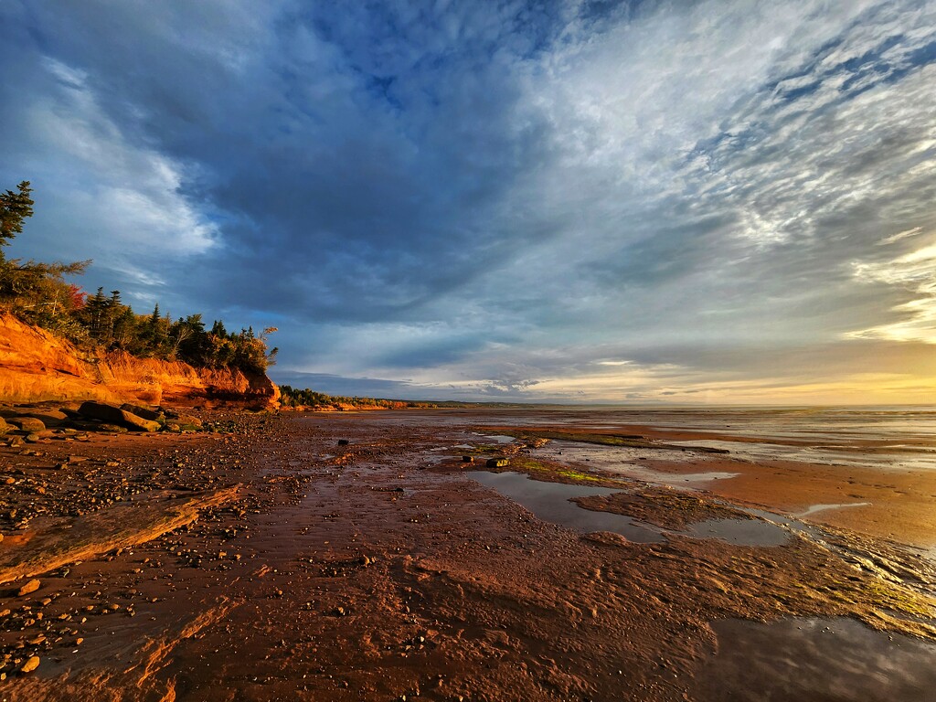 Morning Walk by ljmanning