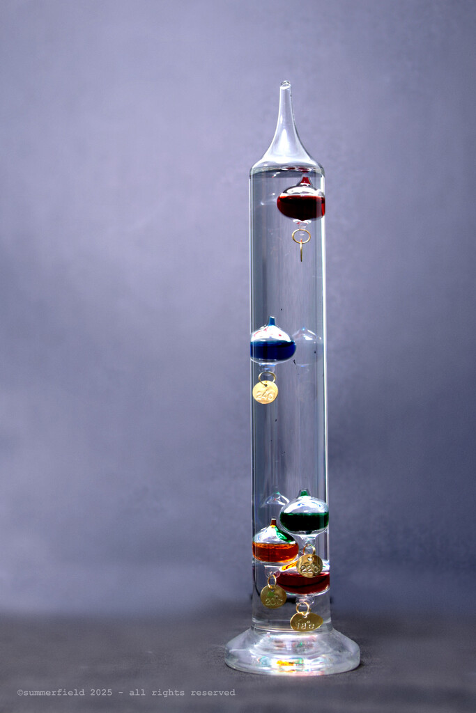 a thingamajigger by summerfield