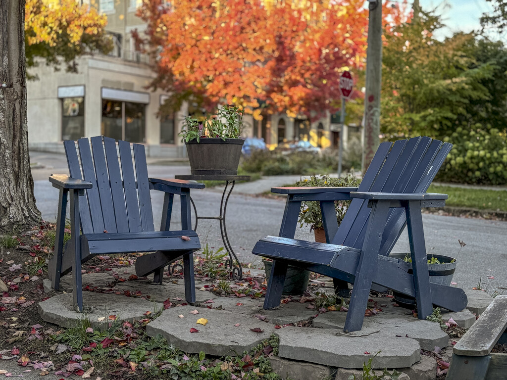 Take a Seat, Day 8 - Sidewalk Chairs by cdcook48