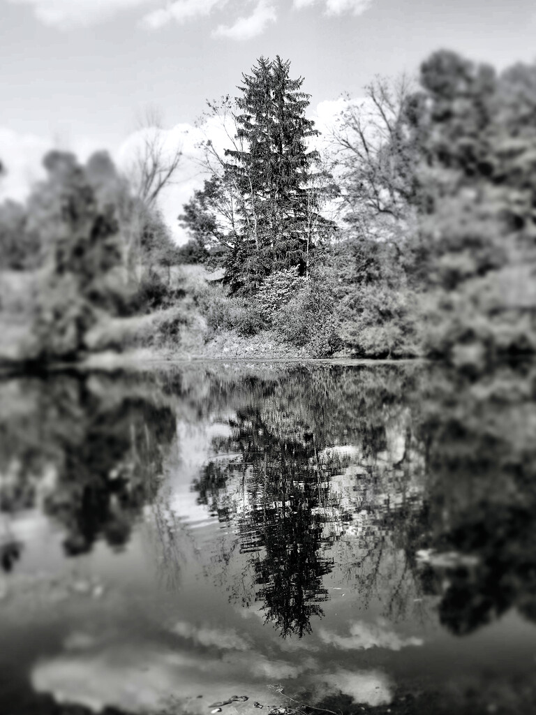 Little Ripple by juliedduncan