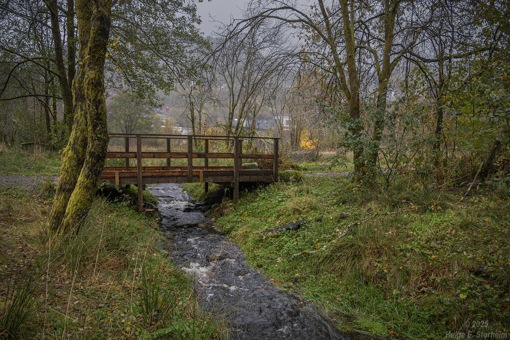 Wet and green by helstor365