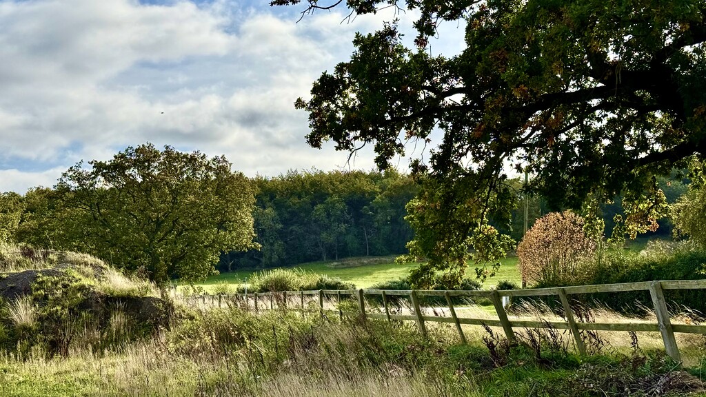 Rural by carole_sandford