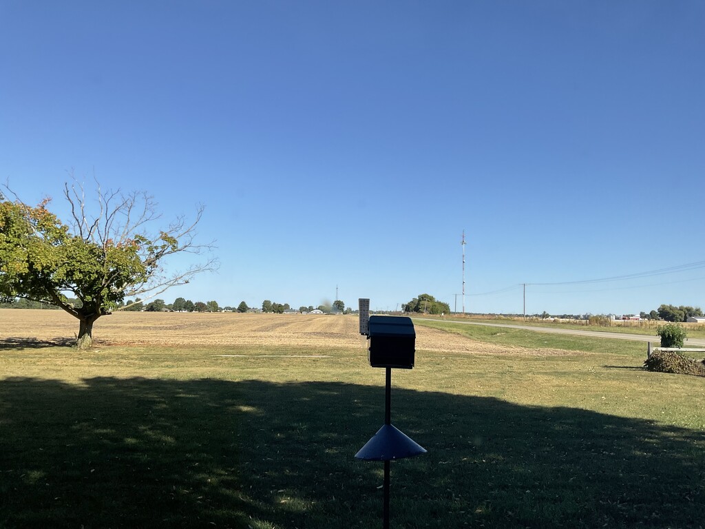 Home again  by illinilass