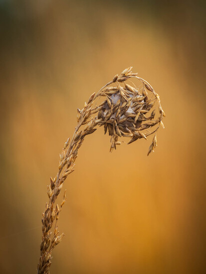 Shelter for the winter on 365 Project
