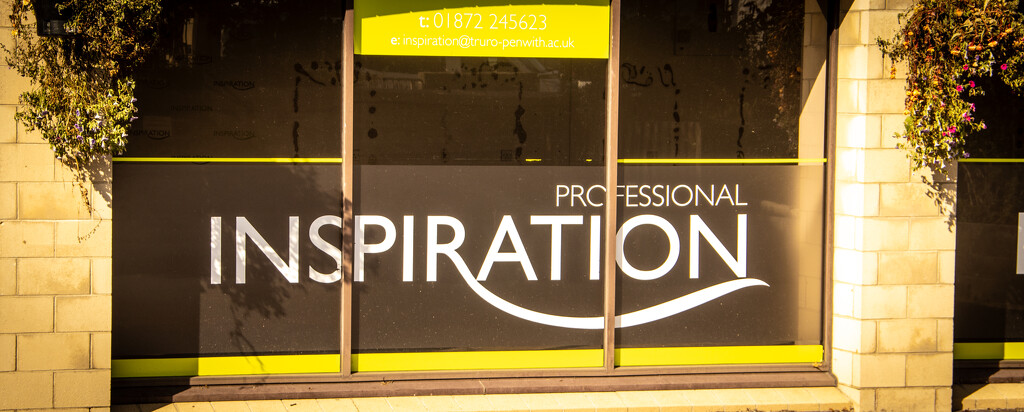 Professional Inspiration by swillinbillyflynn