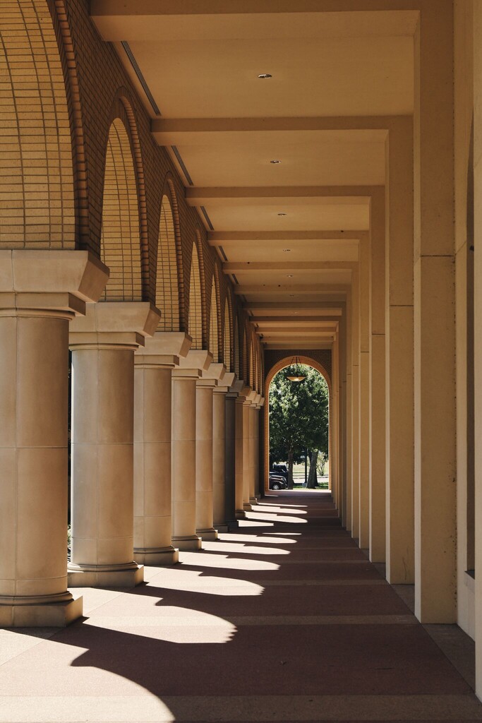 Shadows & Lines by judyc57