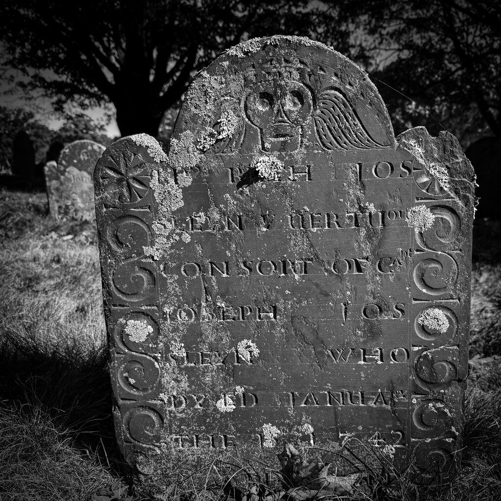 Winged Skull by berelaxed