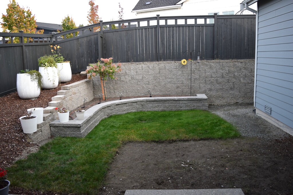 Backyard Remodel Mid-Way by richyoung