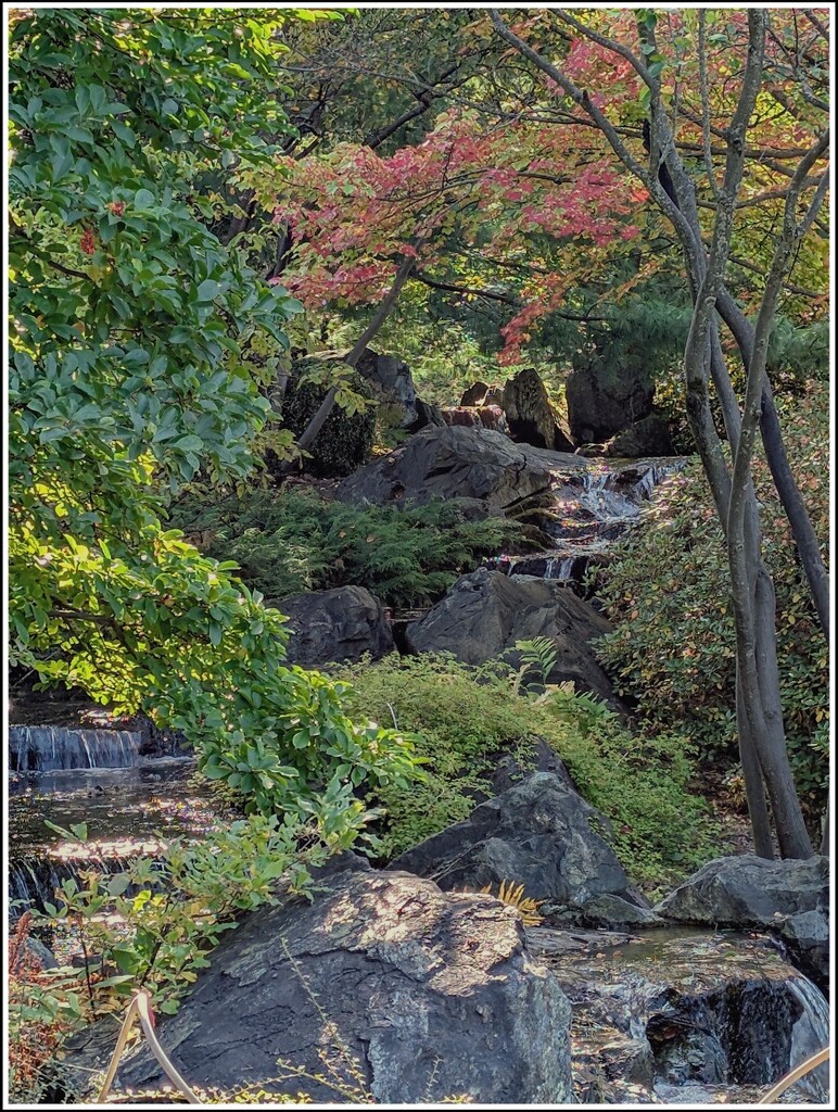 Signs of autumn by zilli