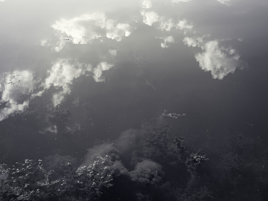 Hi/Lo by juliedduncan