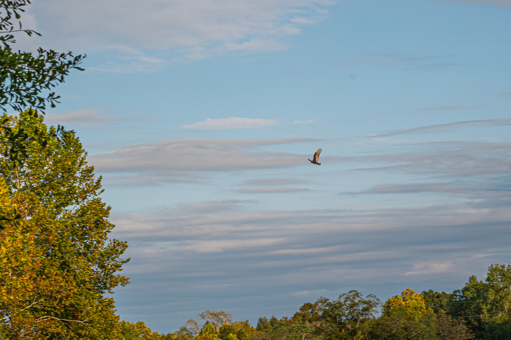 Heading home for the night... by thewatersphotos