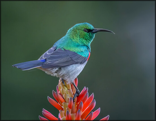 Sitting pretty on 365 Project