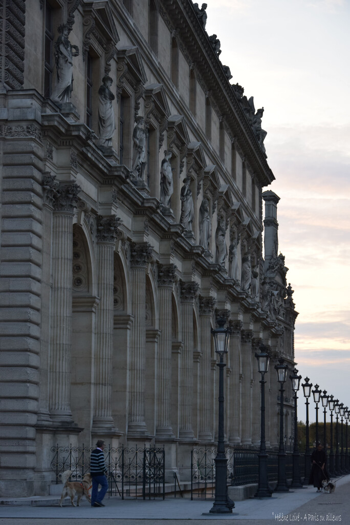 Walking the dogs by Le Louvre by parisouailleurs