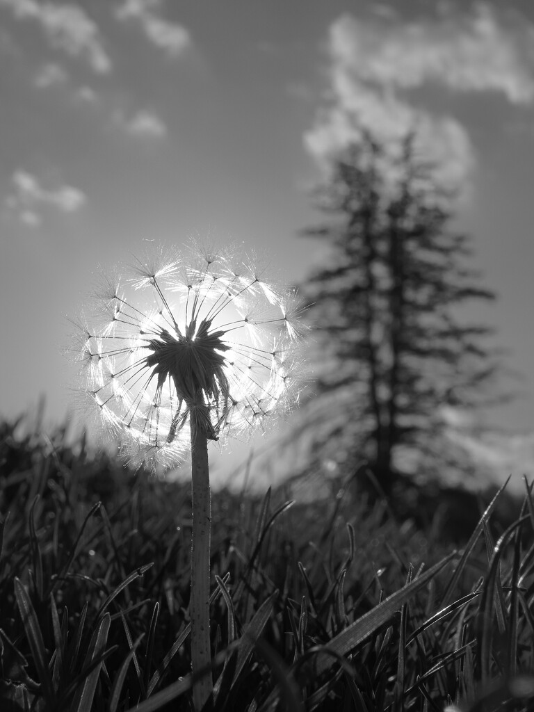 In Quietness by juliedduncan