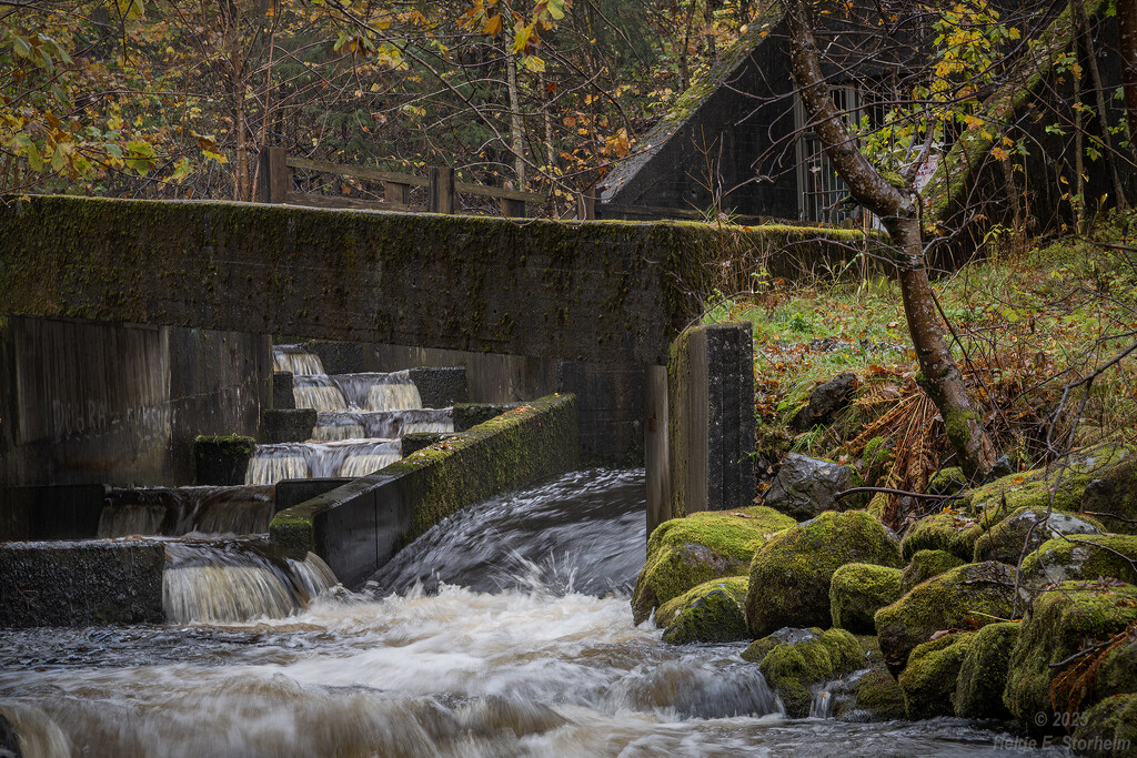 Fish ladder by helstor365