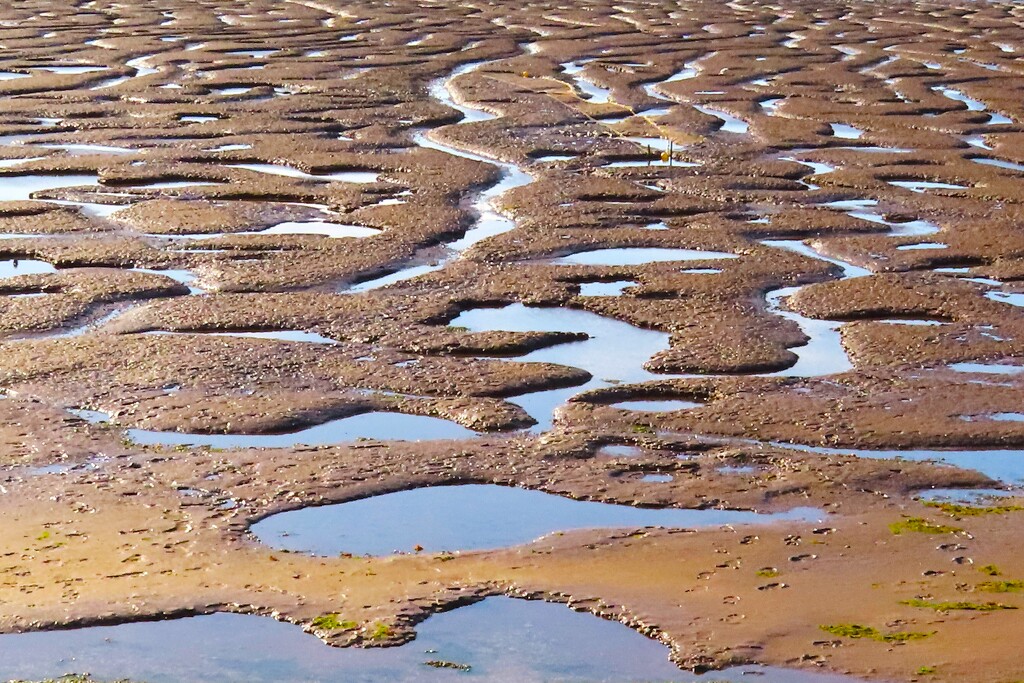 Natures Abstract by bricam