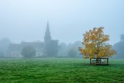 9th Oct 2025 - a foggy start 
