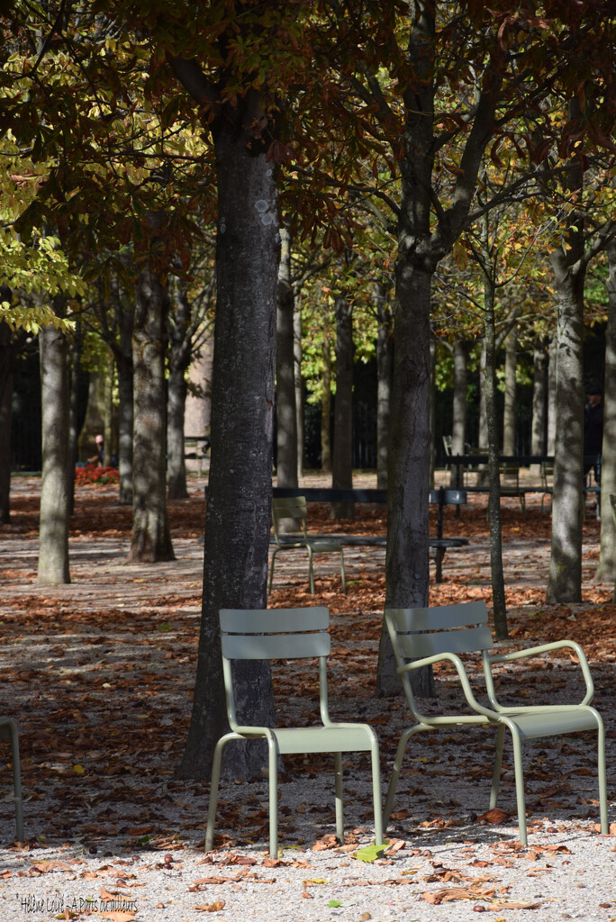 Luxembourg garden famous seats by parisouailleurs