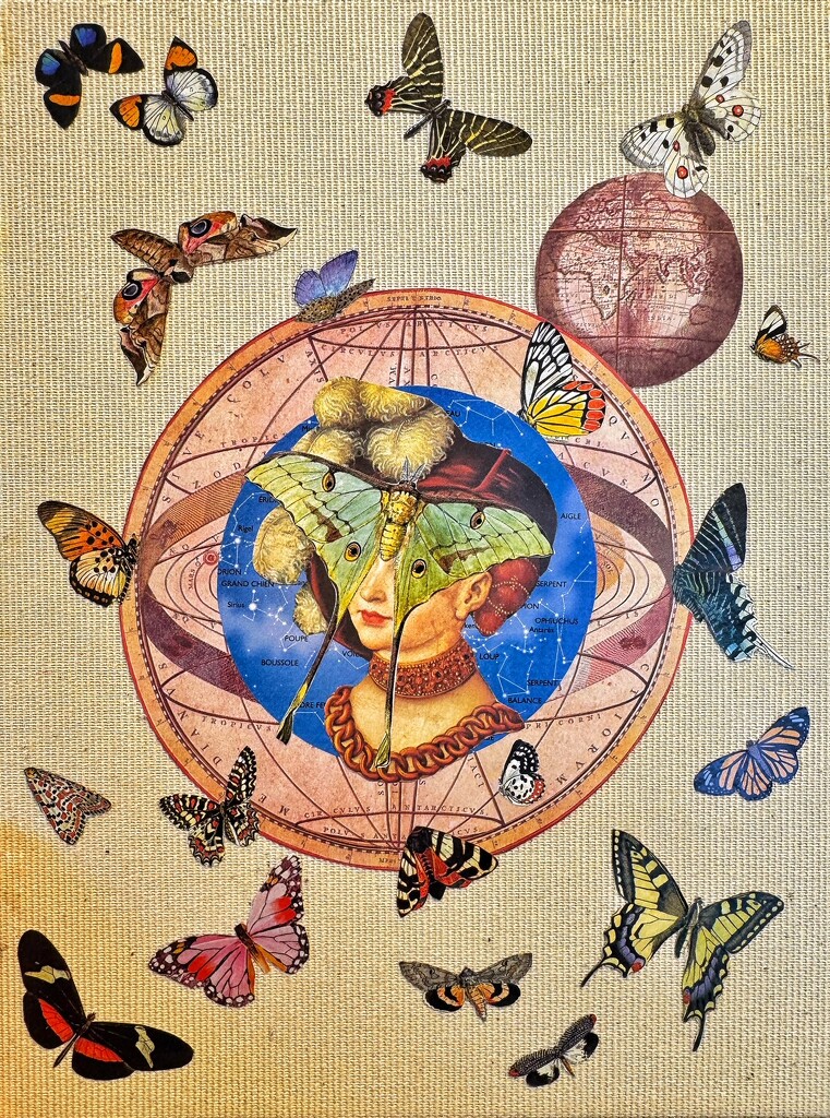 Miss Butterfly by cocobella