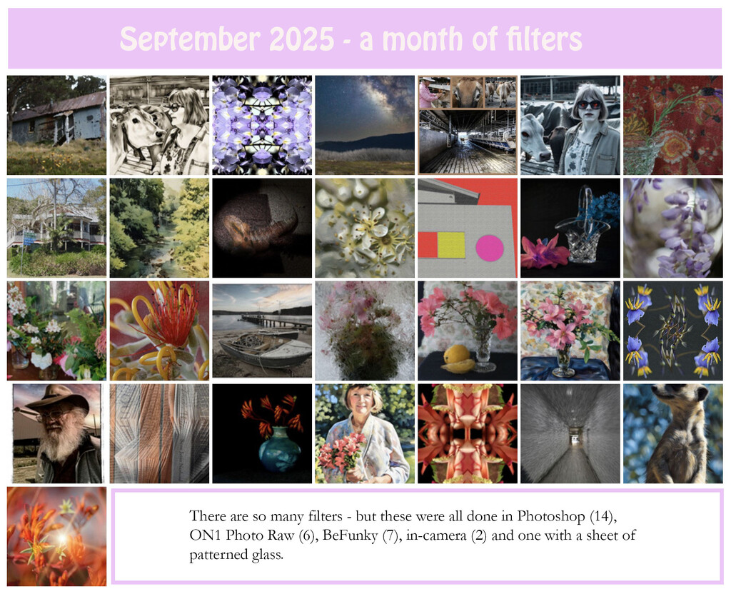 September - A Month of Filters by jeneurell