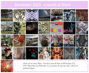 30th Sep 2025 - September - A Month of Filters