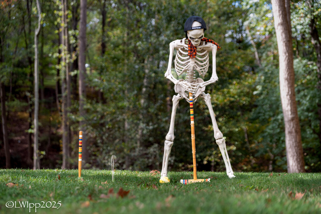 A Skeleton A Day 2025 by lesip