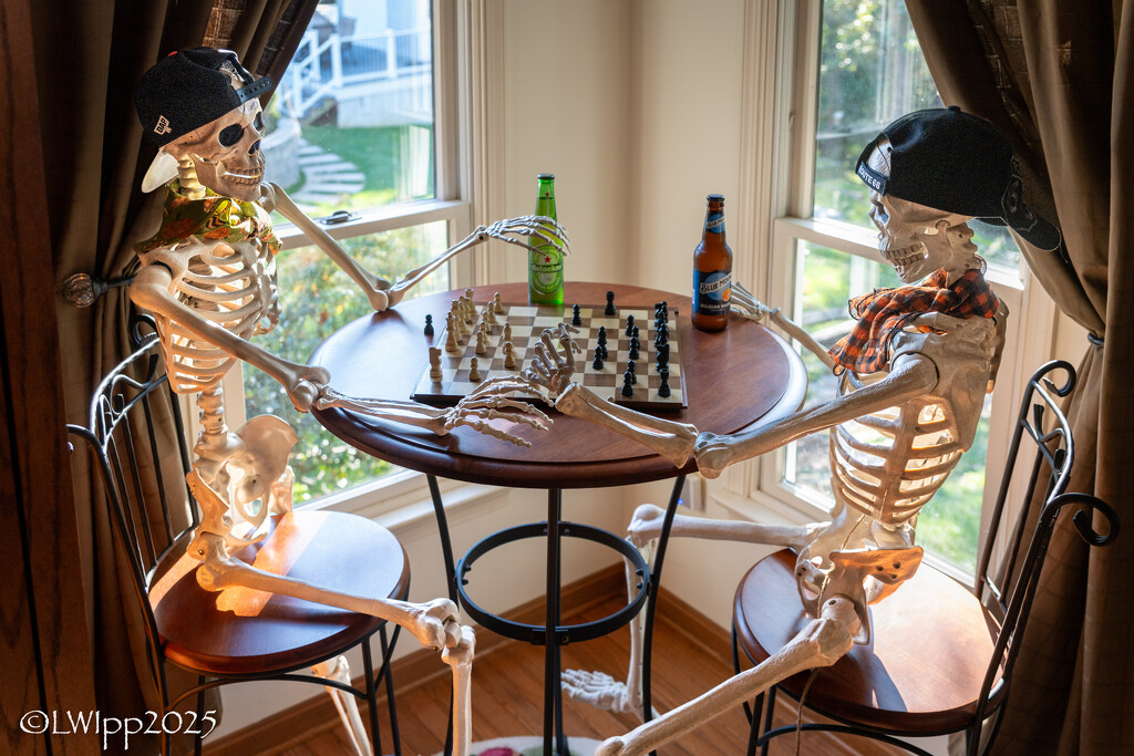 A Skeleton A Day 2025 by lesip