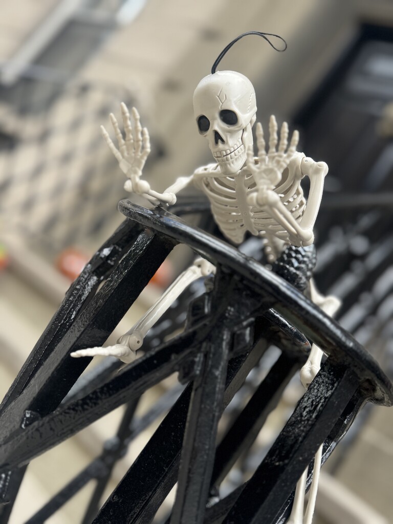 ‘‘Tis the Season by blackmutts