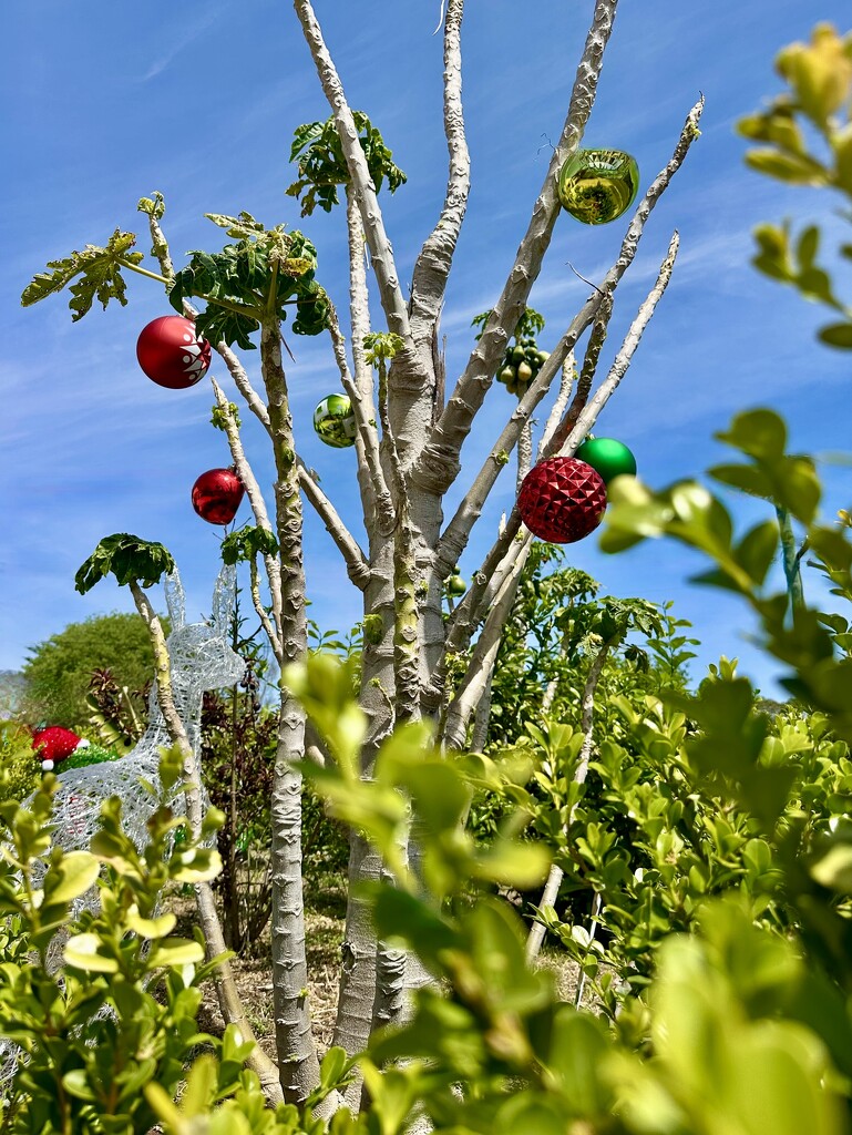 Walk to the shop 5 by kjarn