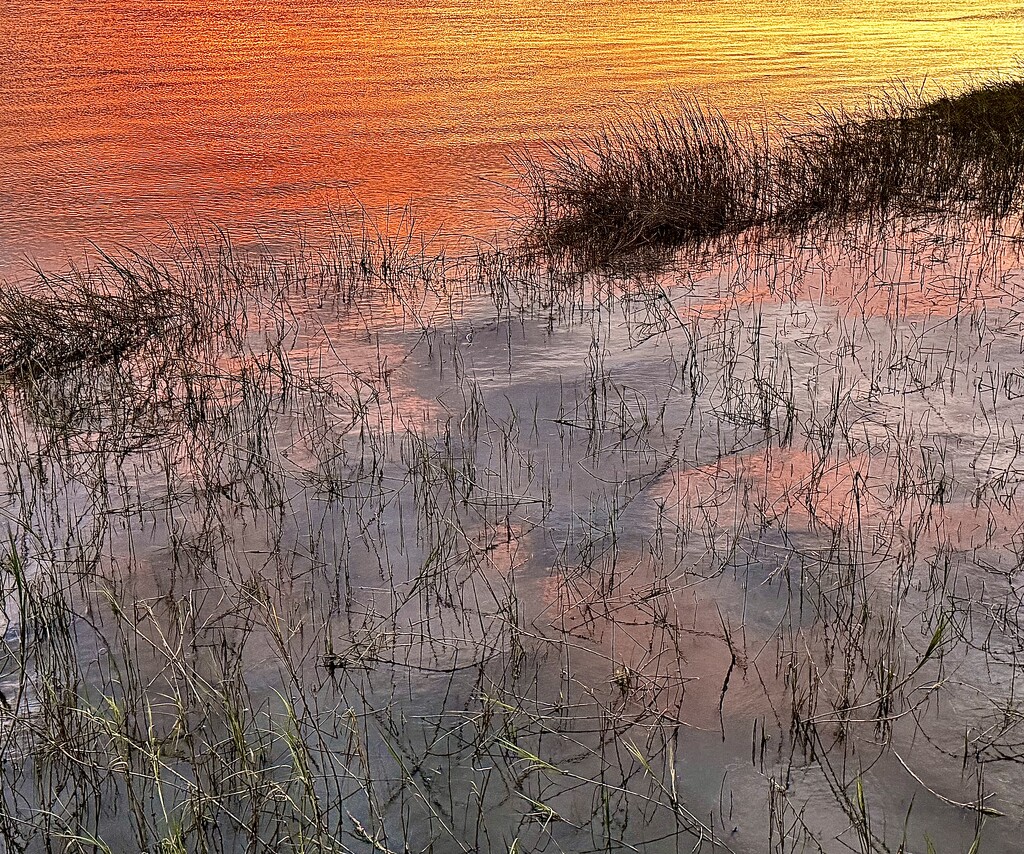 Marsh sunset, high tide by congaree