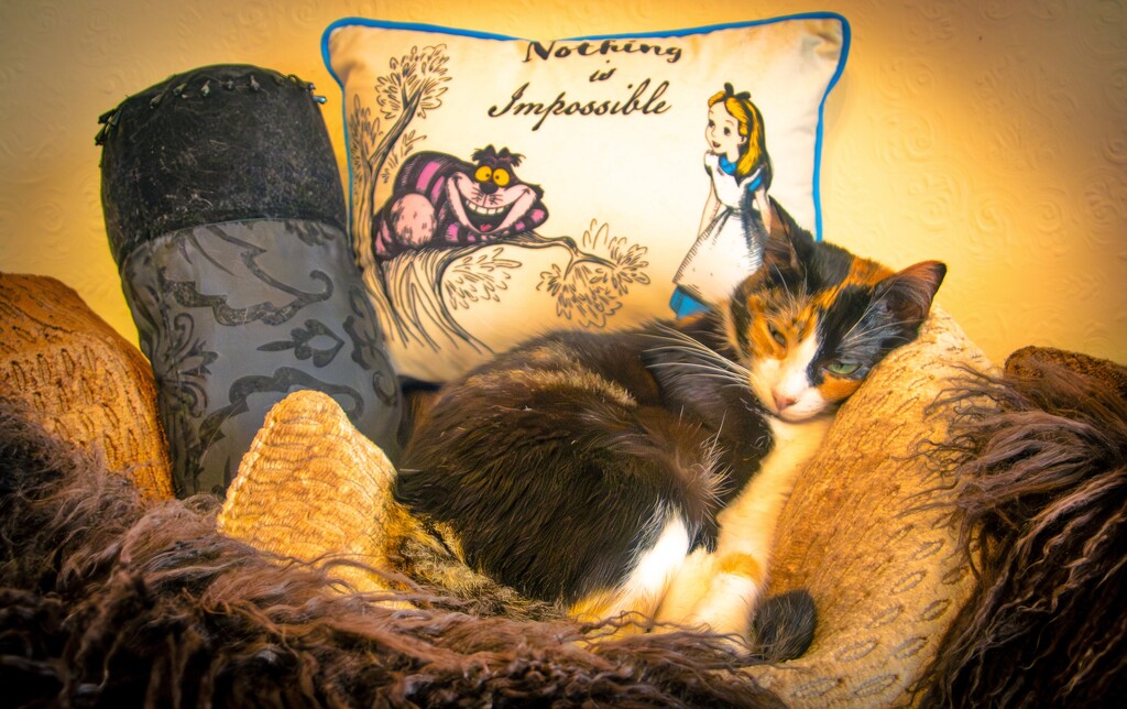 Princess Lia...... by swillinbillyflynn