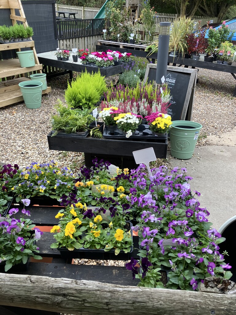 Our Local Farm Shop and Cafe  by g3xbm