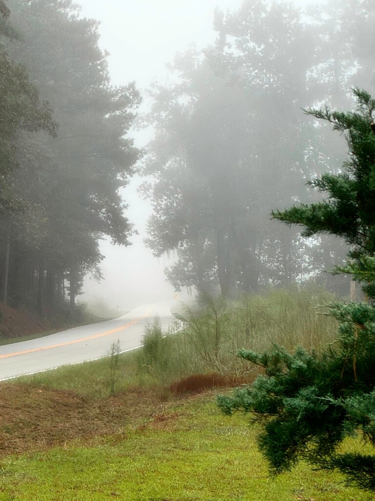 Into the mist... by marlboromaam