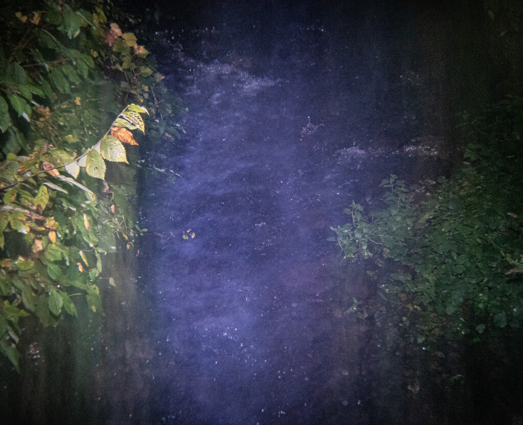 Dreamish-Holga Day 49 by darchibald