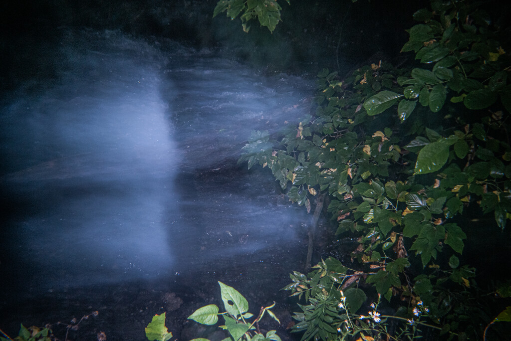 White water  by darchibald