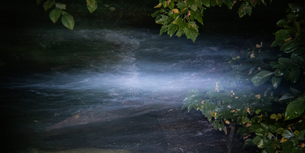 Stream-2  by darchibald