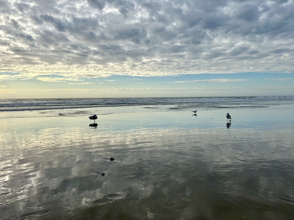 Encinitas Beach by loweygrace