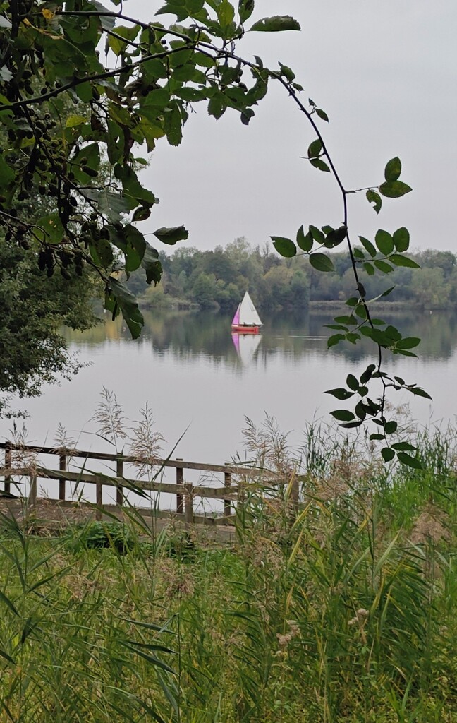 Lackford Lakes by nickrh14