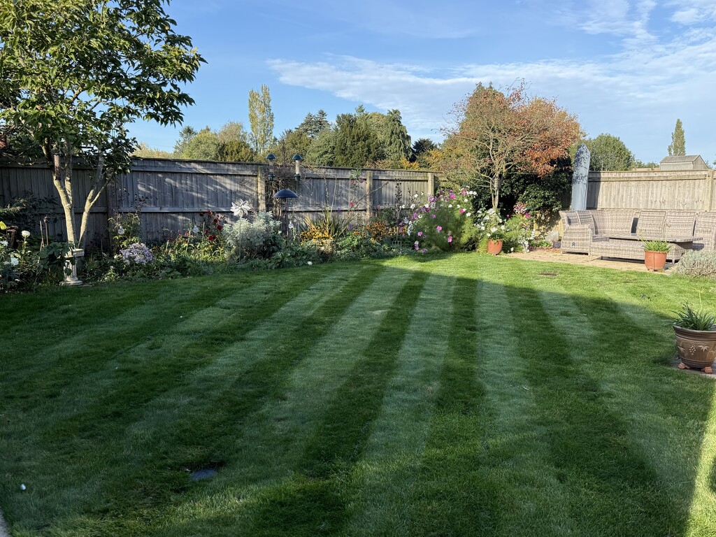 Last Cut?  by phil_sandford